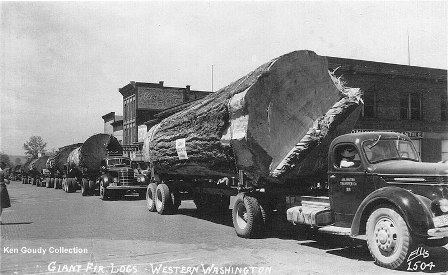 logs trucks