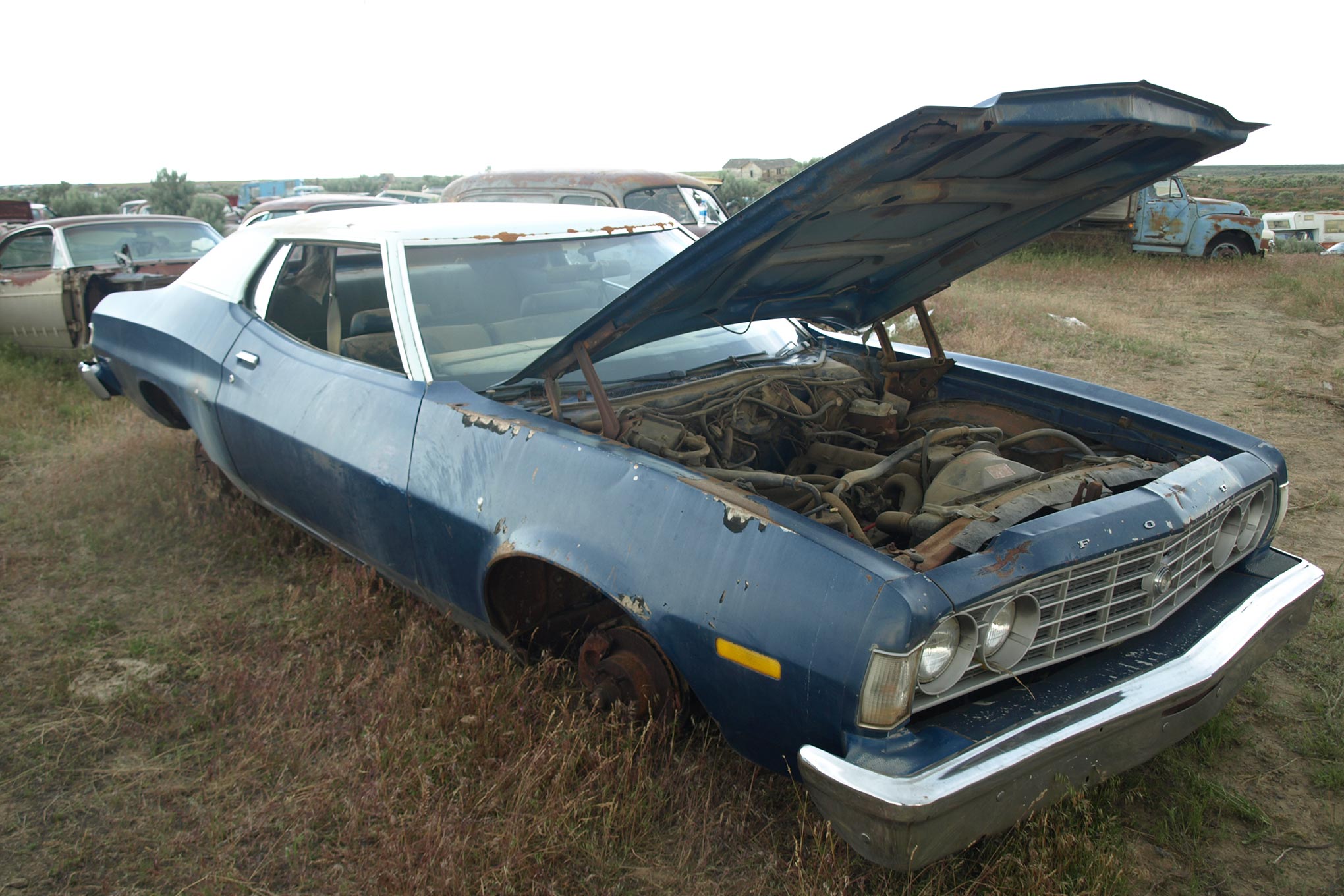 Cohort Pic(k) Of The Day - 1972 Ford Gran Torino - Curbside Classic
