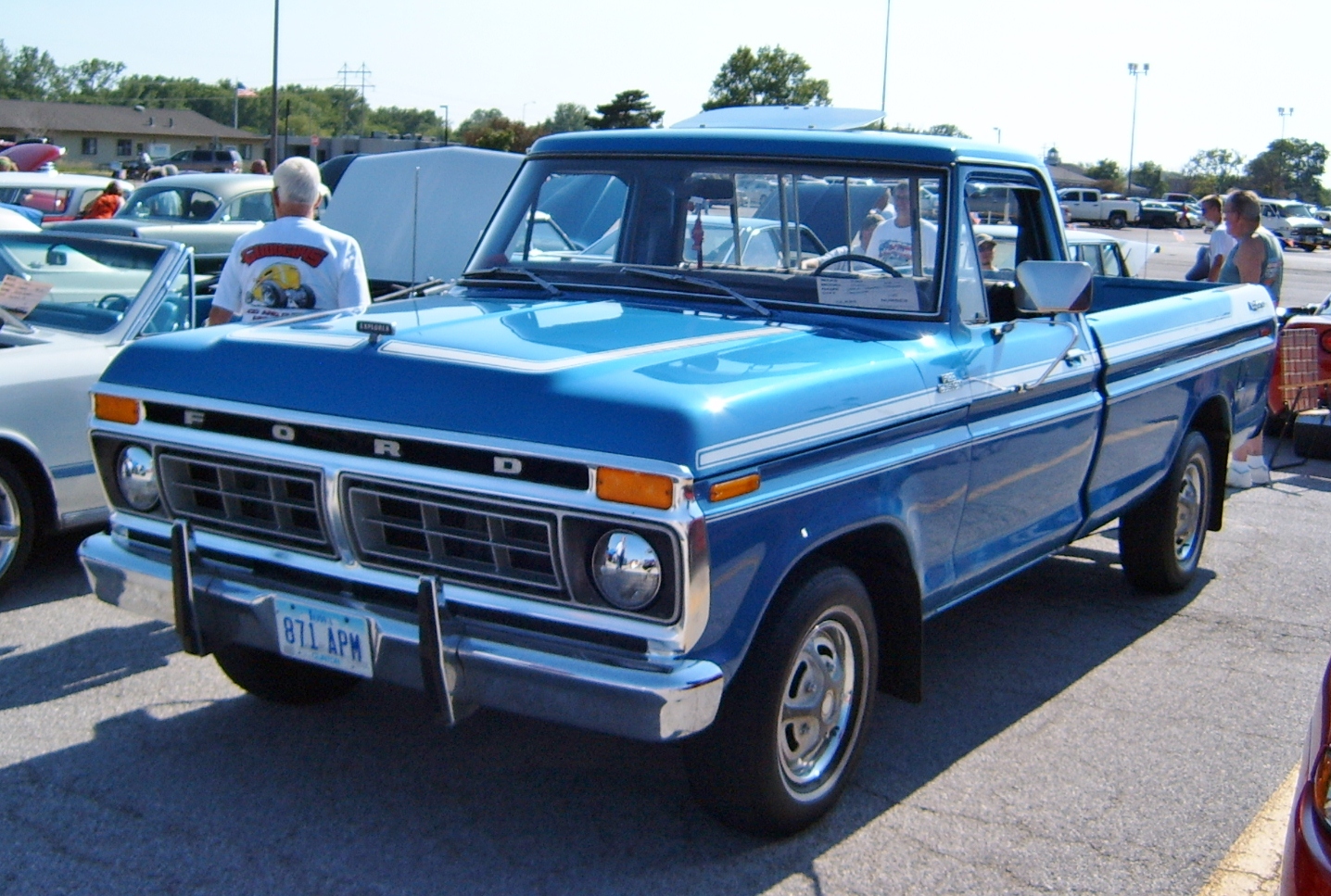 Ford f100 paint schemes #3