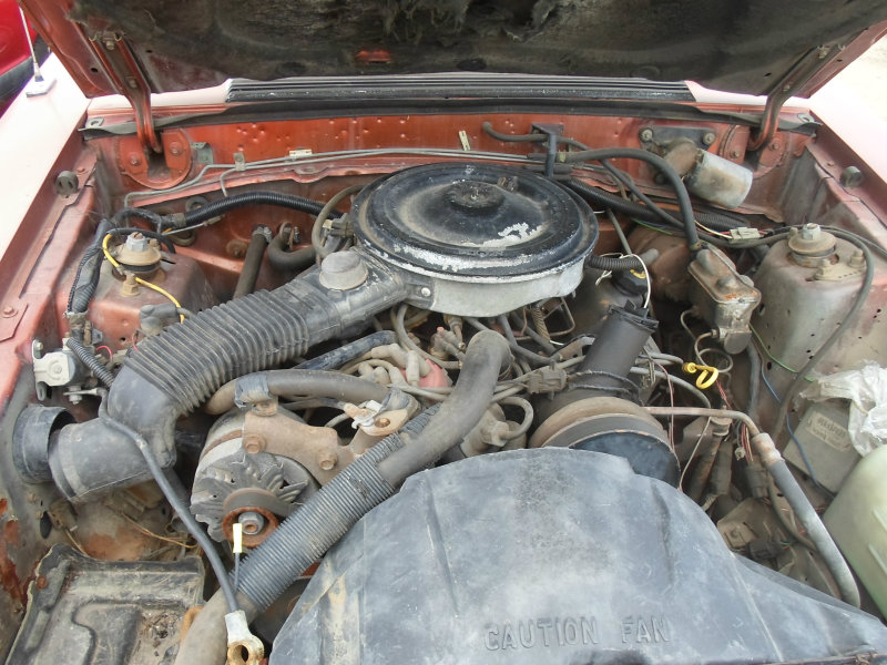 Ford 3.8 essex v6 engines #8