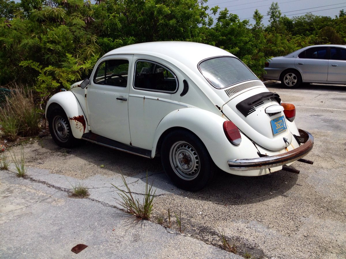 Cohort Sighting: Brazilian VW Beetle 